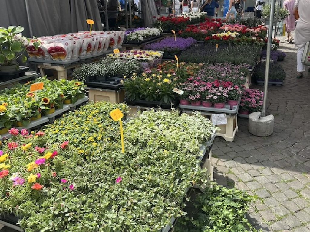 Bonn_market_flowers_web